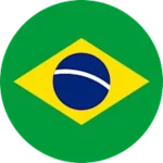 bolsonaro presidente 2020 android application logo